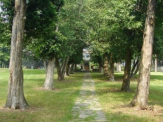 A lovely tree-lined path leads up to the door of the mansion. If you tour the house, you will enter through this door, but you may not notice the path unless you cross the road (walking away from the mansion), and go down the steps.