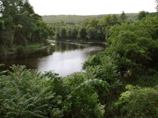 A view of the river from the concrete bridge.
