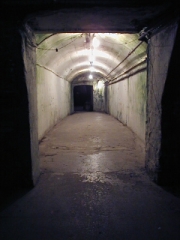 Subterranean tunnel