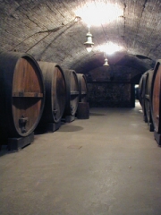 The walls are lined with wine barrels.