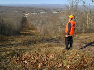High up along the gas line clear-cut for a view overlooking Rt. 309 to the northwest.