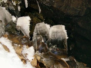 We noticed these ice "teeth" in a little cave beneath an overhanging rock.
