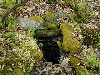 The spring surrounded by rocks