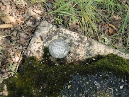Eyelevel view of the disk on the culvert. 