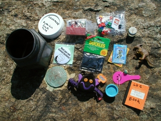 Cache contents as of this visit.