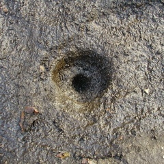 The drill hole which once held the BULL HILL RESET tri-station disk.