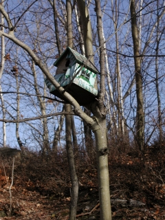 A little birdhouse along the trail. I think Martha Stewart has been decorating here!