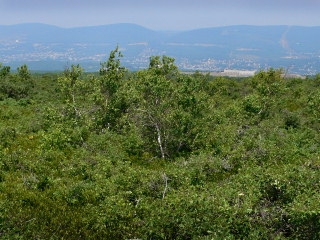View of the valley from Part 4.