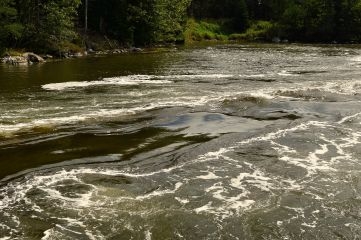 Reversing falls on the Bagaduce River
