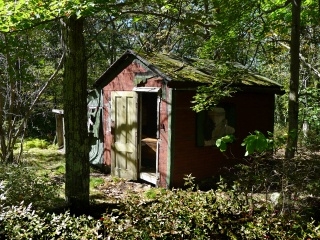 Berrypicker's shack