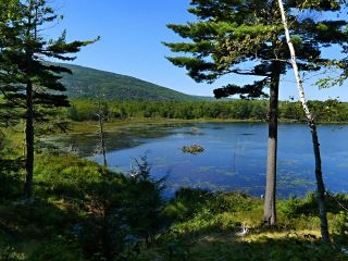 A view over the pond toward the north ridge of Dorr Mountain