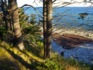 Along the Old Bass Harbor Lighthouse Trail