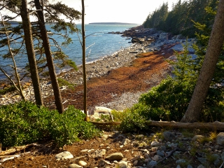 Whistler's Beach, seen from the Old Lighthouse Trail