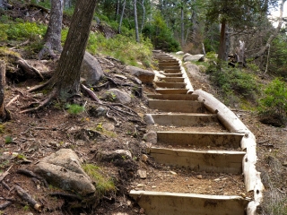 Trail maintenance: new log-tread cribbing