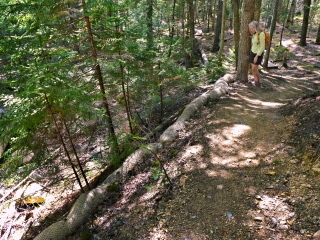 Trail rehabilitation, Jordan Stream Trail