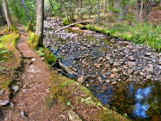 Streamside trail