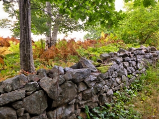 Stone wall near the Shore Path