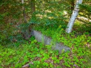 An old foundation, now becoming overgrown.