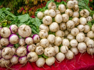 Gorgeous bunches of turnips