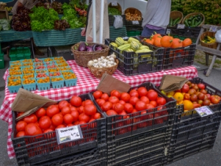 Luscious tomatoes and more fresh vegetables