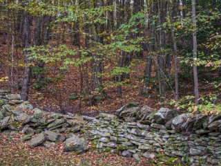 One of several stone walls in the park