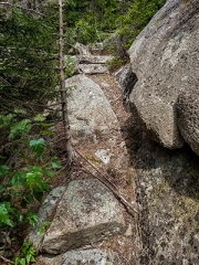 More of Van Santvoord’s granite steps