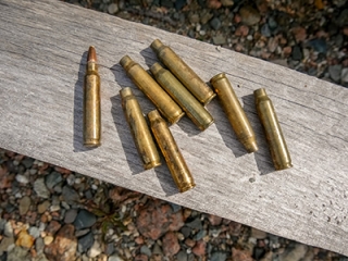 Expended brass cases, and a live round found lying on the ground