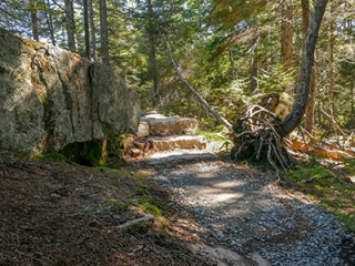 Even on this relatively level trail, there are a few granite steps!