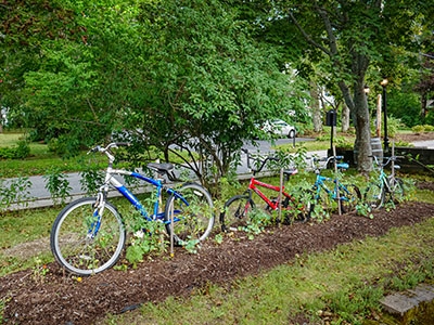 A bike "garden"