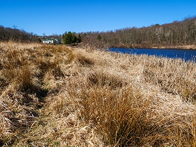 The faint path around Trostle Pond