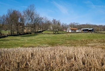 A farm scene