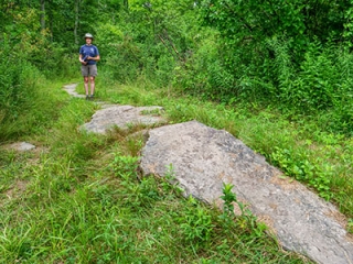 Pathway lined with stones (Turkey Hill Trail)