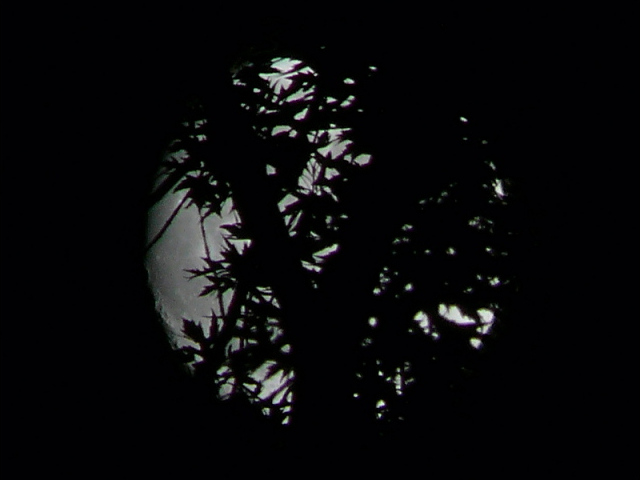 Hidden by trees, the nearly-full moon presented a challenge. We were able to record some texture along the left edge.