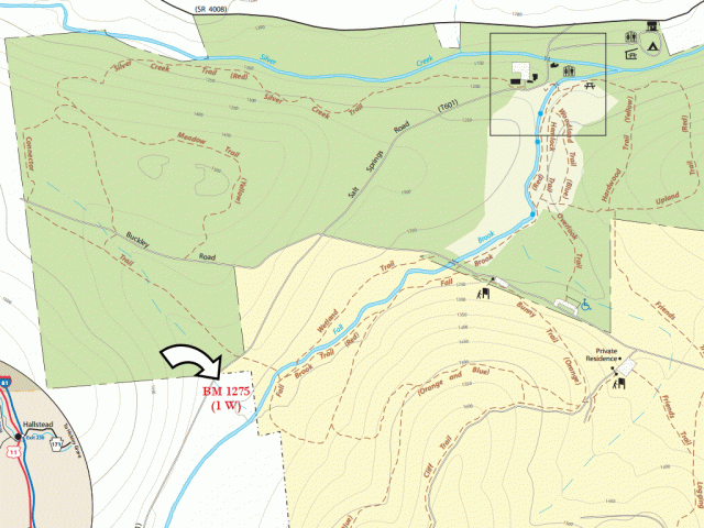 Excerpt of Salt Springs map, showing trails and BM location
