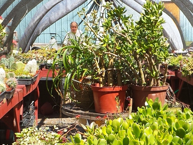 We didn't notice at the time, but the Cactus Man appears in the back of the greenhouse photo!