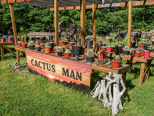 We're back at the Cactus Man!