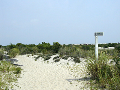 I doubt it's authentic, but this street sign indicates the former path of Baltimore Boulevard through the dunes.